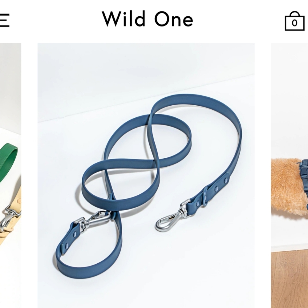 Wild One Leash size Small, color Navy - NWT! For dogs up to 30 pounds.